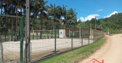 Conforto, Lazer e Contato com a Natureza ✨🌿