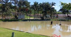 Conforto, Lazer e Contato com a Natureza ✨🌿