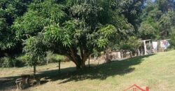 Oportunidade única em meio à natureza!