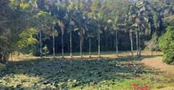 Oportunidade única em meio à natureza!