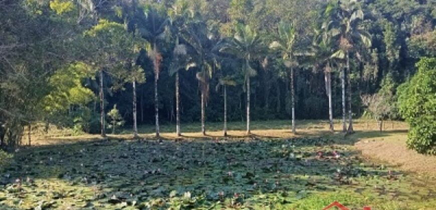 Oportunidade única em meio à natureza!