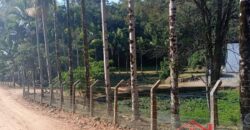 Oportunidade única em meio à natureza!