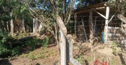 Oportunidade única em meio à natureza!