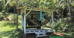 Sítio no Rio Sellin – Um verdadeiro Paraíso