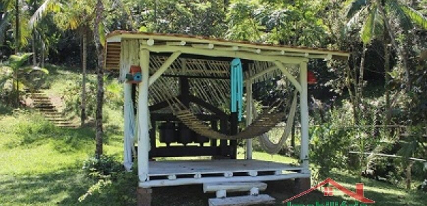 Sítio no Rio Sellin – Um verdadeiro Paraíso