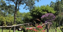 Sítio no Rio Sellin – Um verdadeiro Paraíso