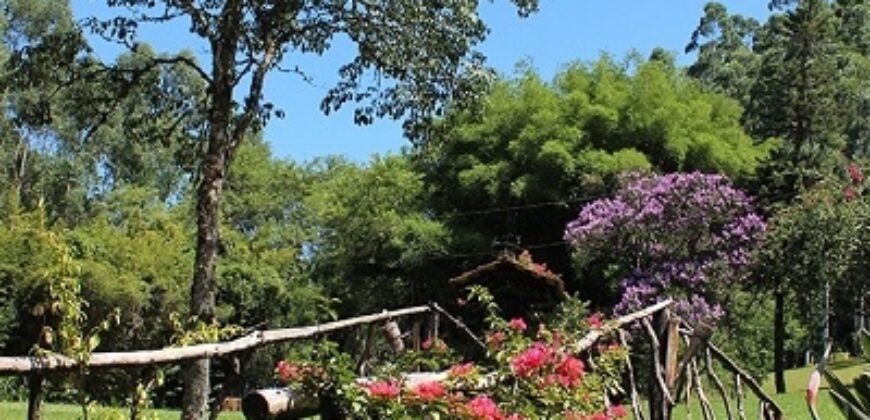 Sítio no Rio Sellin – Um verdadeiro Paraíso