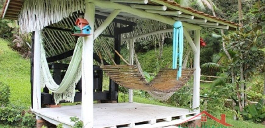 Sítio no Rio Sellin – Um verdadeiro Paraíso