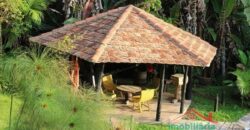 Sítio no Rio Sellin – Um verdadeiro Paraíso