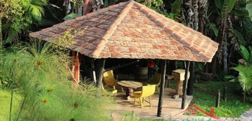 Sítio no Rio Sellin – Um verdadeiro Paraíso