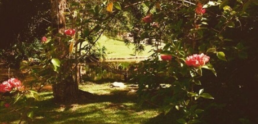 Sítio no Rio Sellin – Um verdadeiro Paraíso