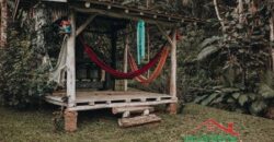 Sítio no Rio Sellin – Um verdadeiro Paraíso