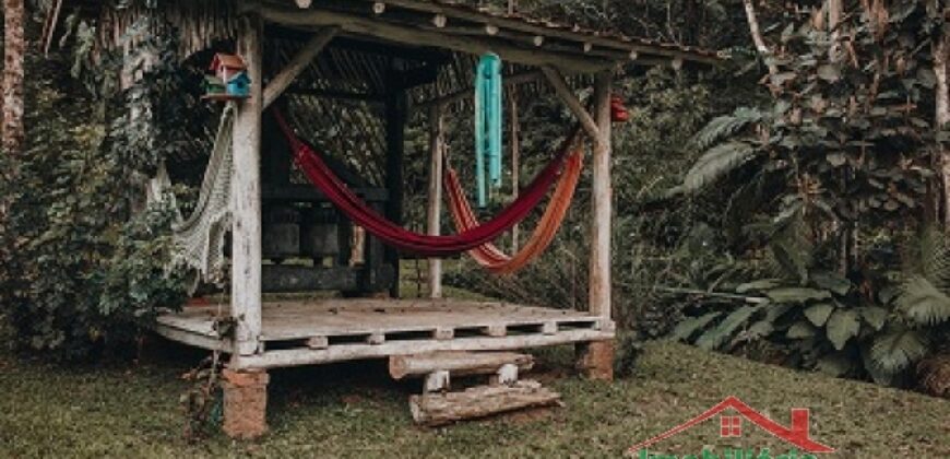 Sítio no Rio Sellin – Um verdadeiro Paraíso