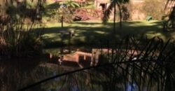 Sítio no Rio Sellin – Um verdadeiro Paraíso