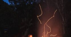 Sítio no Rio Sellin – Um verdadeiro Paraíso