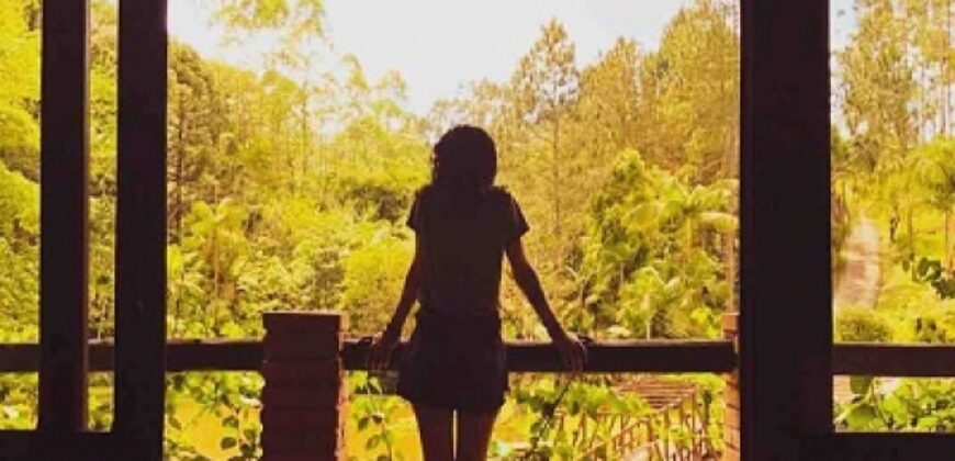 Sítio no Rio Sellin – Um verdadeiro Paraíso