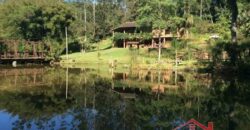 Sítio no Rio Sellin – Um verdadeiro Paraíso