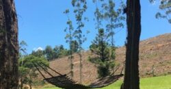 Sítio no Rio Sellin – Um verdadeiro Paraíso