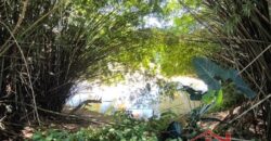 Oportunidade de Investimento