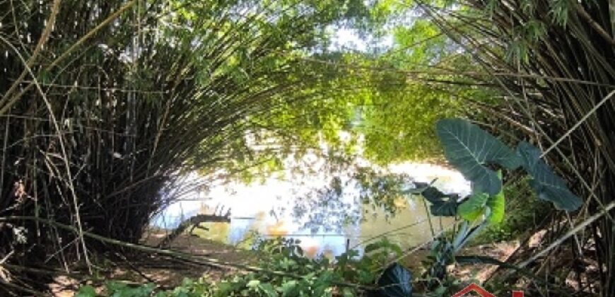 Oportunidade de Investimento