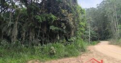 SÍTIO À VENDA EM APIÚNA/SC – 13,65 HECTARES COM EUCALIPTO E PINUS 🌿