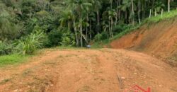 🔥 TERRENO GRANDE NO CENTRO DE IBIRAMA – PREÇO IMPERDÍVEL 🔥