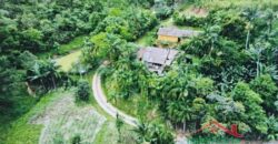 Sítio Encantador em Ibirama! 🏡