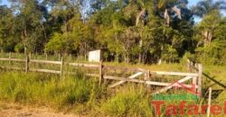 Terreno em Presidente Getúlio