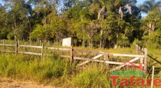 Terreno em Presidente Getúlio