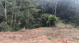 🌿✨ Sítio à Venda – Excelente Oportunidade em Ibirama!