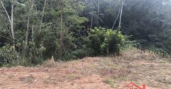 🌿✨ Sítio à Venda – Excelente Oportunidade em Ibirama!