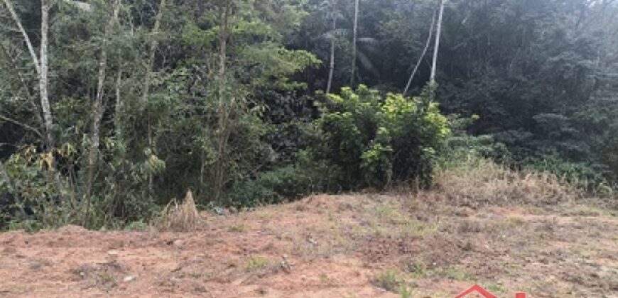 🌿✨ Sítio à Venda – Excelente Oportunidade em Ibirama!