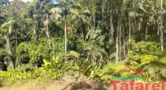 🌿 SÍTIO EM IBIRAMA – GRANDE OPORTUNIDADE! 🌿