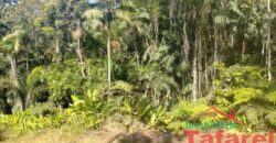 🌿 SÍTIO EM IBIRAMA – GRANDE OPORTUNIDADE! 🌿