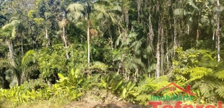 🌿 SÍTIO EM IBIRAMA – GRANDE OPORTUNIDADE! 🌿