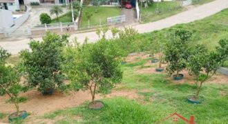 🏡✨ CASA NA SERRA SÃO MIGUEL – IBIRAMA! ✨🏡