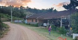 Tranquilidade, espaço e contato com a natureza