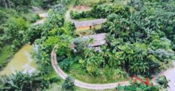 Sítio Encantador em Ibirama! 🏡