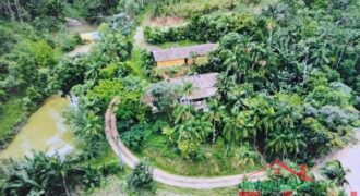 Sítio Encantador em Ibirama! 🏡