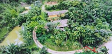 Sítio Encantador em Ibirama! 🏡