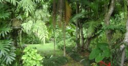 🌿🏡 Oportunidade Exclusiva para Investidores em Ibirama!