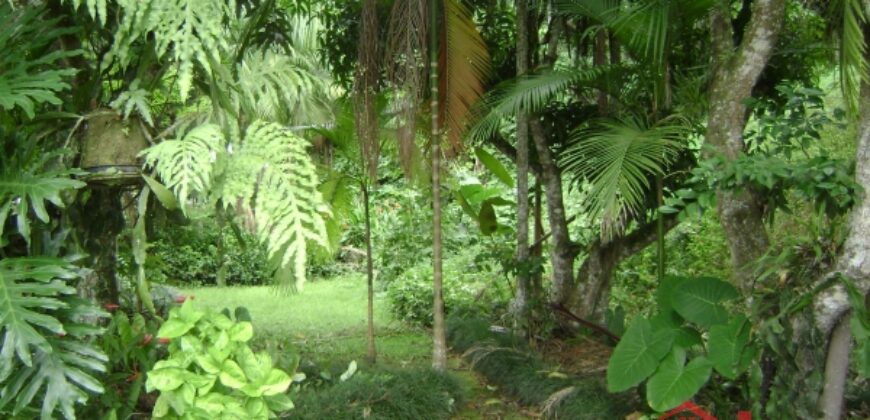 🌿🏡 Oportunidade Exclusiva para Investidores em Ibirama!