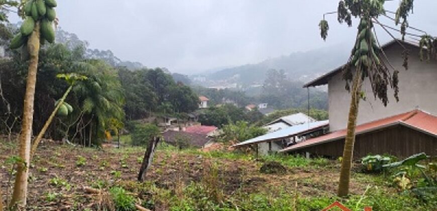 🏞️ 02 Terrenos à Venda – Ideal para Construção Residencial