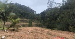 🌿✨ Sítio à Venda – Excelente Oportunidade em Ibirama!