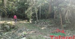 🌿 SÍTIO EM IBIRAMA – GRANDE OPORTUNIDADE! 🌿