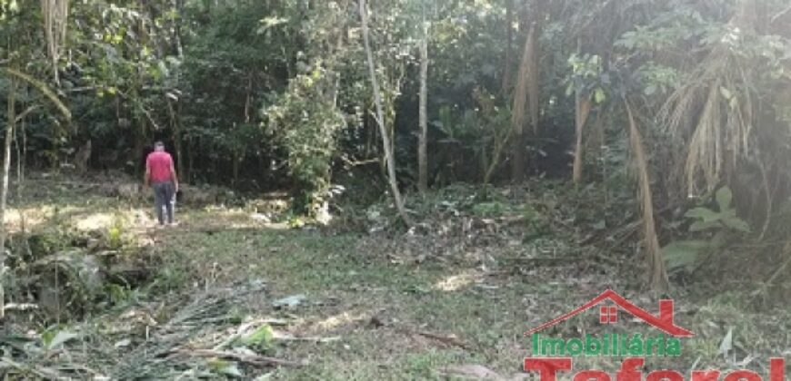 🌿 SÍTIO EM IBIRAMA – GRANDE OPORTUNIDADE! 🌿