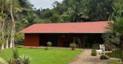 🌿✨ LINDA CHÁCARA EM IBIRAMA! ✨🌿