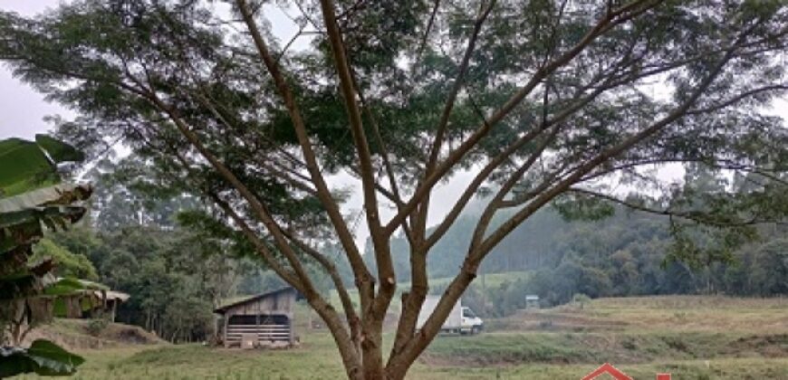 SÍTIO EM VITOR MEIRELLES