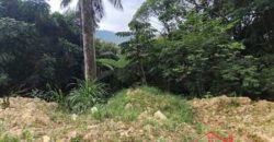 SÍTIO À VENDA EM APIÚNA/SC – 13,65 HECTARES COM EUCALIPTO E PINUS 🌿