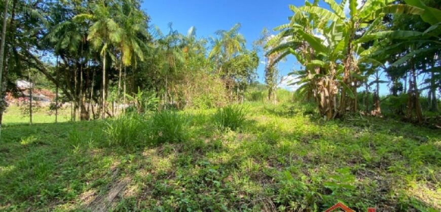 Terreno em Localização Privilegiada!